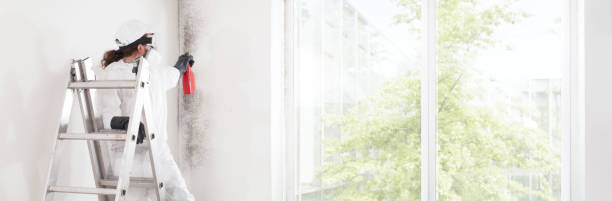 Best Air Quality Testing for Mold Spores  in Geneva, WA